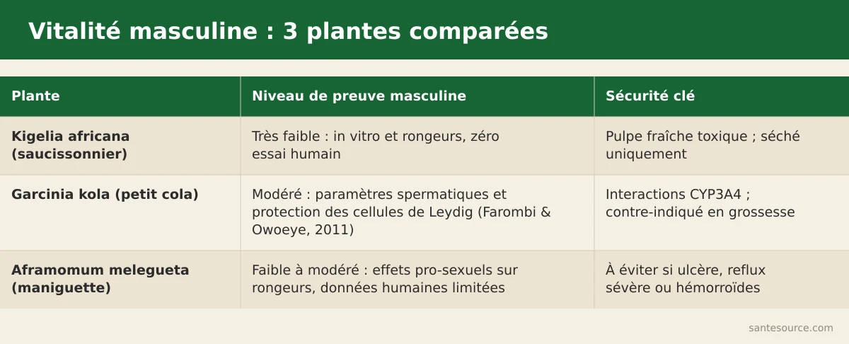 Comparaison du niveau de preuve masculine entre Kigelia africana, Garcinia kola et Aframomum melegueta