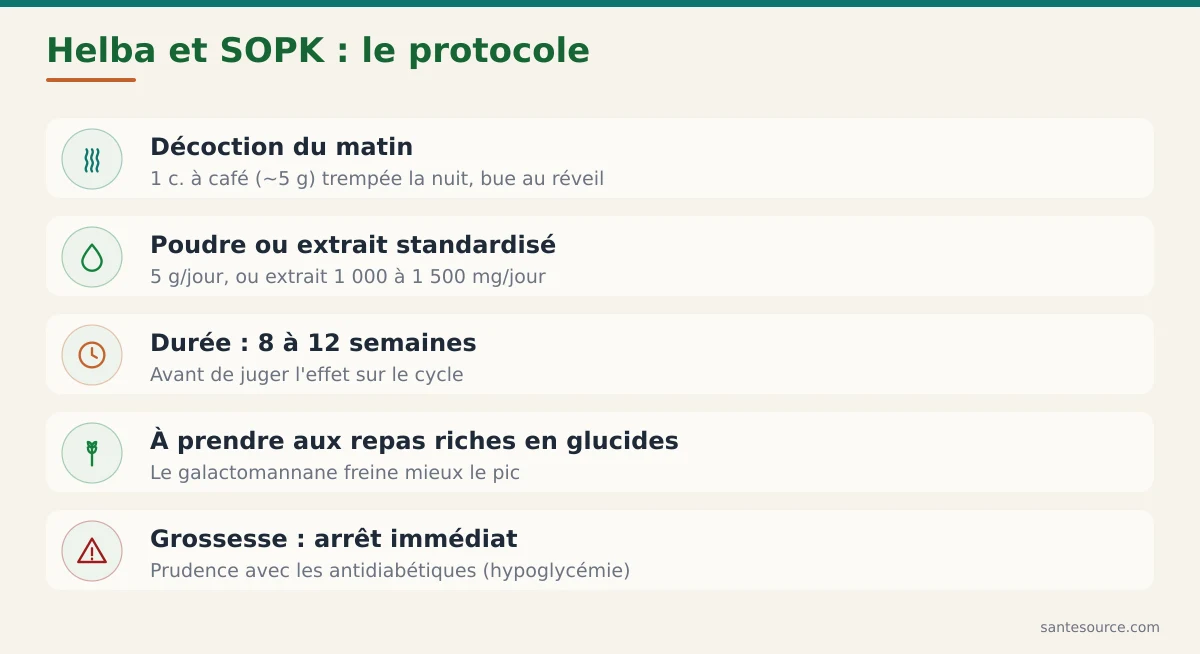 Récapitulatif visuel du protocole helba : posologie, durée, moment de prise et principales contre-indications du fenugrec dans le SOPK