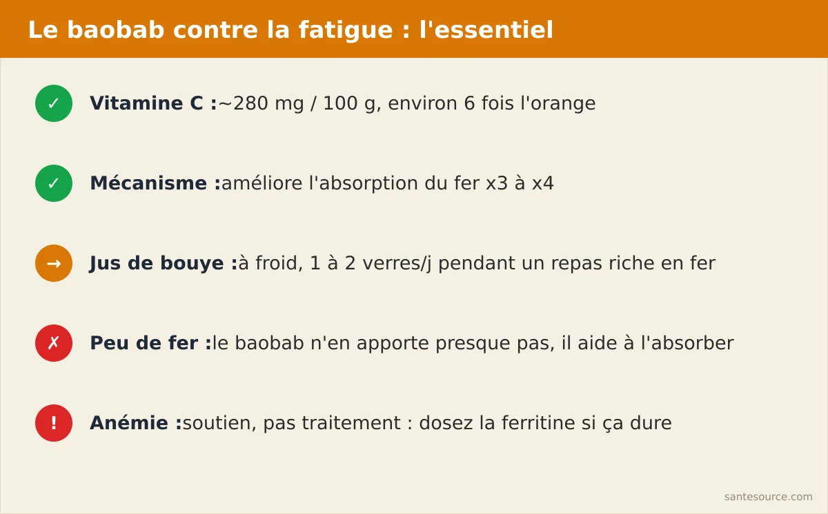 Récapitulatif des points clés sur la poudre de baobab contre la fatigue et l'anémie