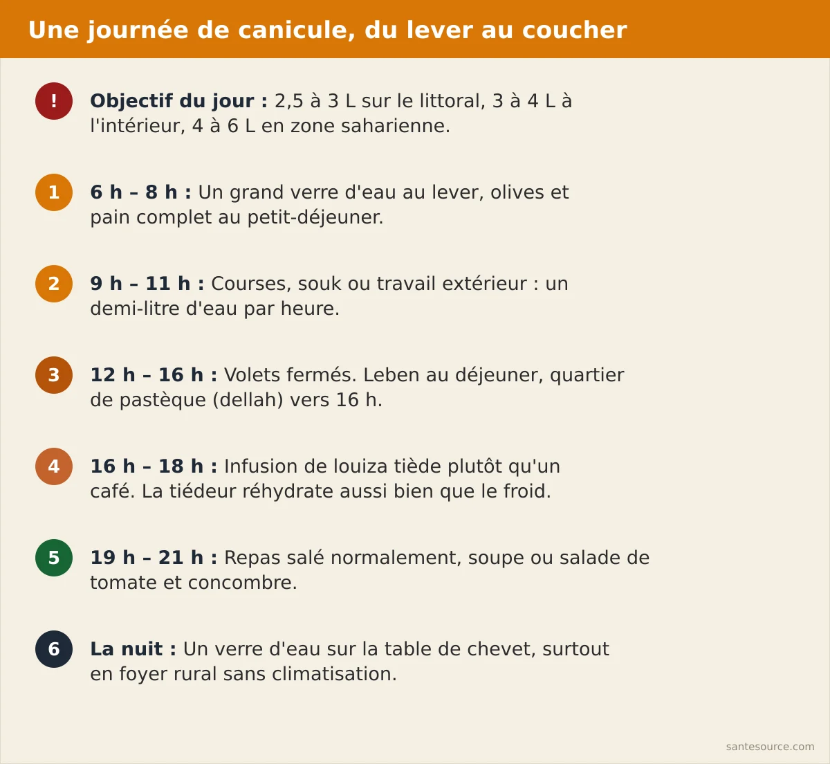 Récapitulatif d'une journée de canicule au Maroc : volumes d'eau, aliments et horaires du lever à la nuit