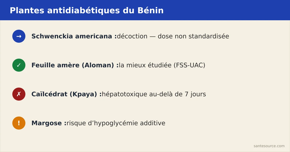 Récapitulatif des plantes béninoises antidiabétiques et de leurs précautions clés