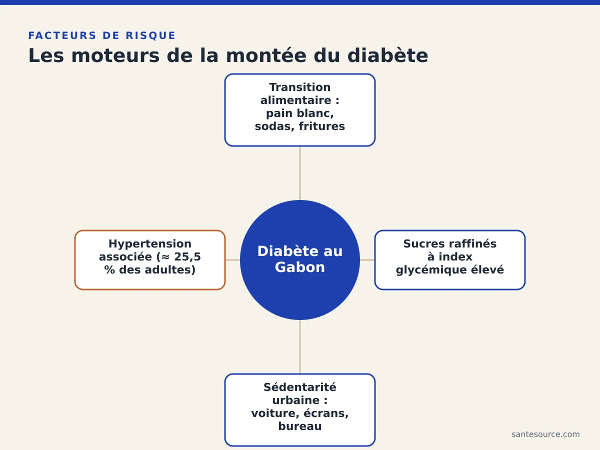 Carte mentale des moteurs du diabète au Gabon : transition alimentaire, sucres raffinés, sédentarité urbaine et hypertension associée