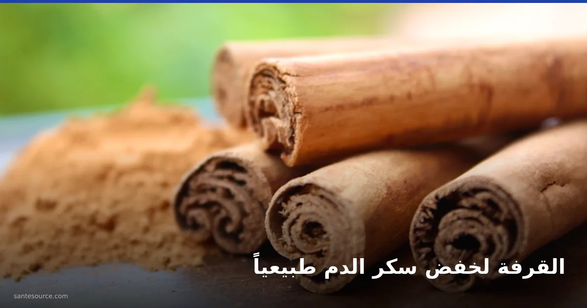 أعواد القرفة ومسحوقها، نبتة طبيعية لخفض سكر الدم لدى مرضى السكري في المغرب
