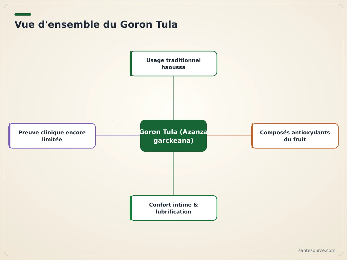 Carte mentale du Goron Tula : usage traditionnel haoussa, composés antioxydants, effets sur la lubrification et limites scientifiques