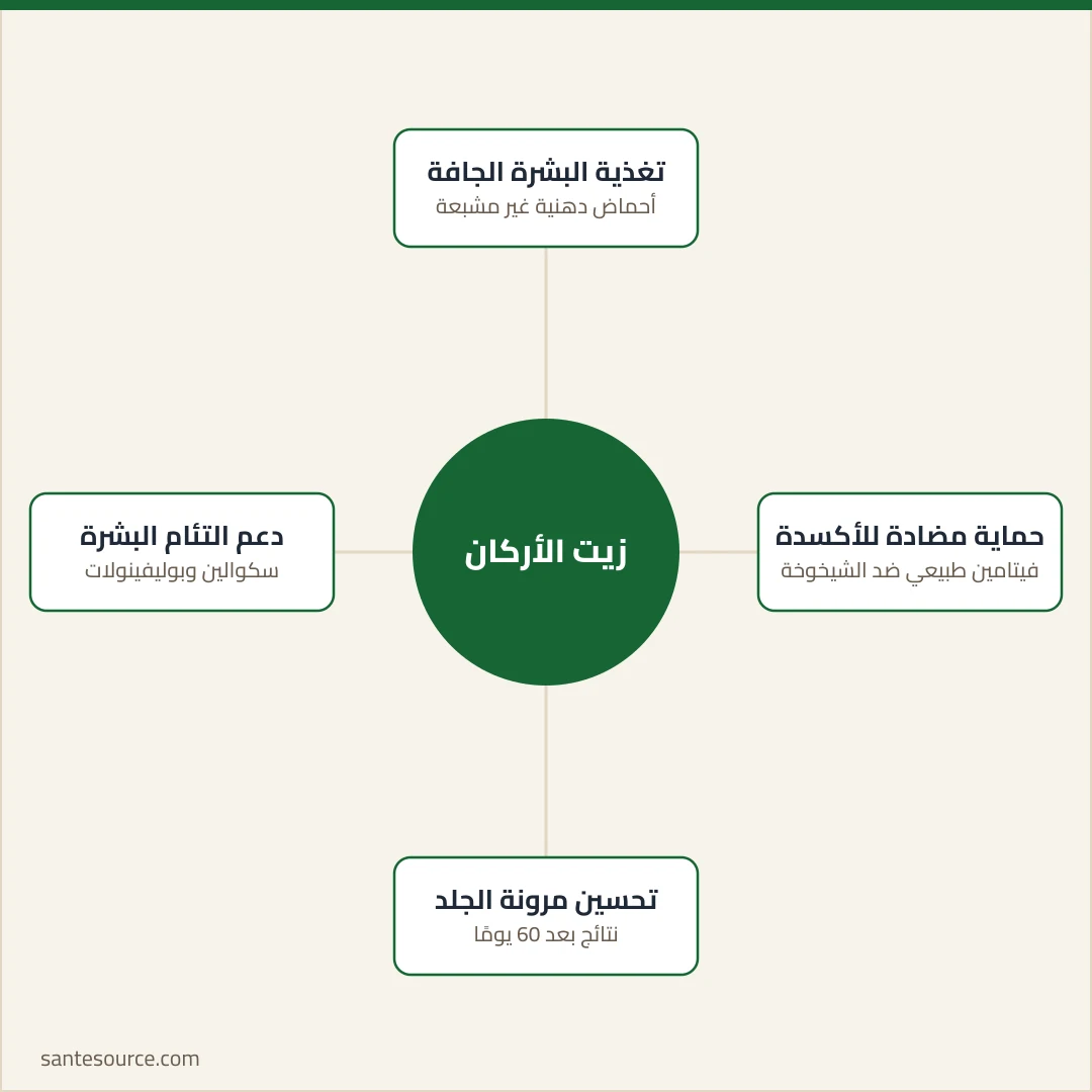 خريطة ذهنية لفوائد زيت الأركان للبشرة: التغذية، الحماية المضادة للأكسدة، المرونة، اللمعان