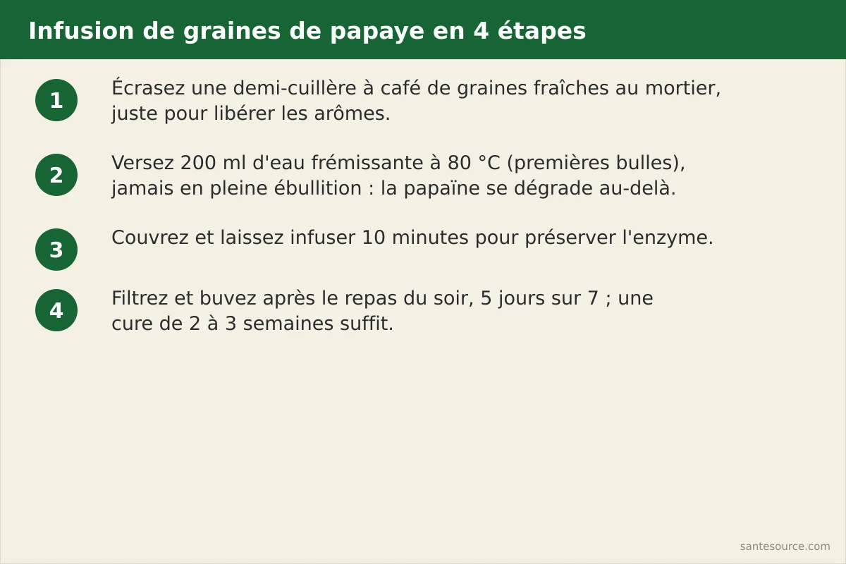 Étapes de préparation d'une infusion de graines de papaye : écraser, verser l'eau à 80°C, couvrir, infuser dix minutes, filtrer