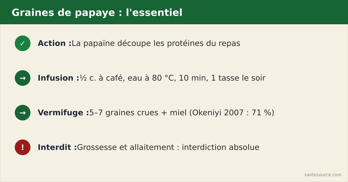 Récapitulatif des usages, doses et précautions des graines de papaye pour la digestion et les parasites
