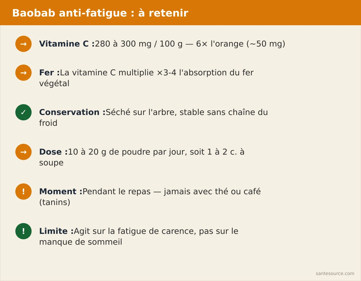 Récapitulatif : baobab vs orange vs moringa pour la vitamine C, le fer et la conservation