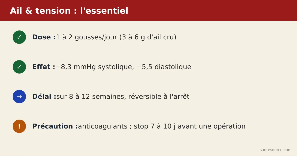 Récapitulatif : dose d'ail, effet en mmHg, délai d'action et précautions anticoagulants
