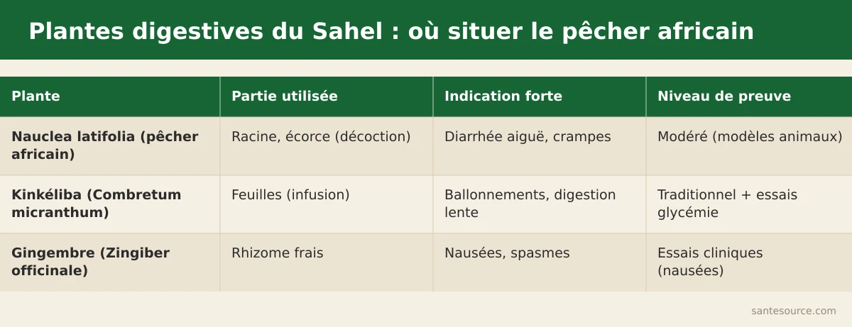 Comparaison Nauclea latifolia, kinkéliba et gingembre : partie utilisée, indication forte et niveau de preuve