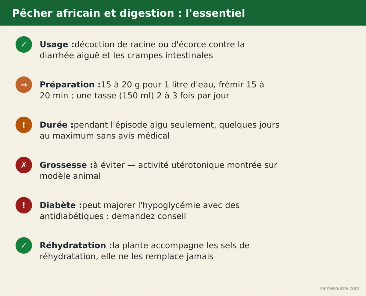 Récapitulatif des usages, dose de décoction et précautions de Nauclea latifolia pour la digestion