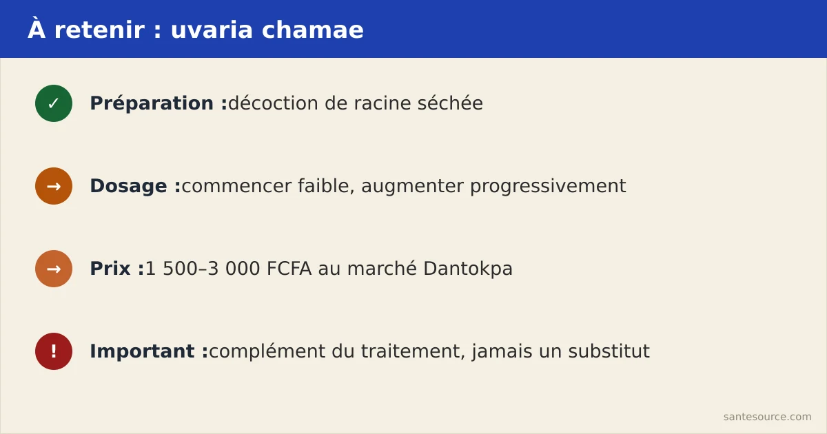 Récapitulatif : décoction de racine d'uvaria chamae, dose progressive, prix 1500-3000 FCFA à Dantokpa et complément jamais substitut