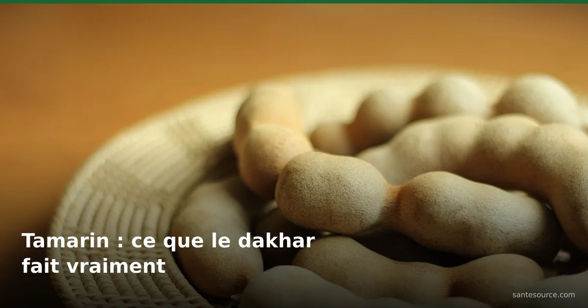 Gousses de tamarin (dakhar) dans un panier tressé, fruit riche en fer utile à la fertilité