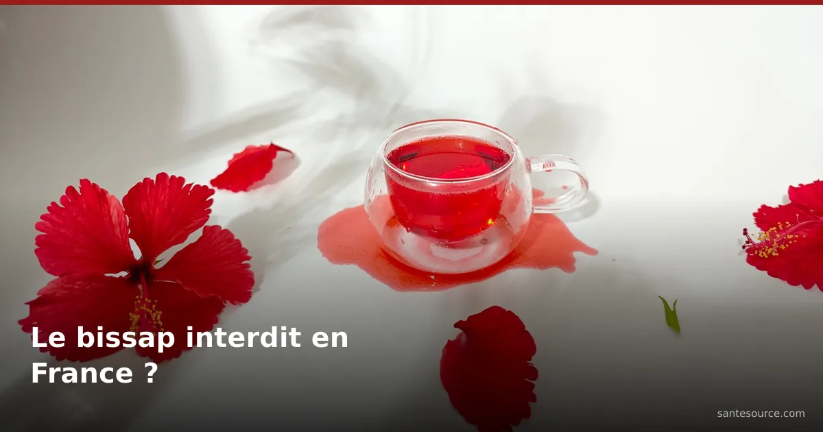 Infusion rouge de bissap (hibiscus) et fleurs fraîches, au cœur de la rumeur d'interdiction en France