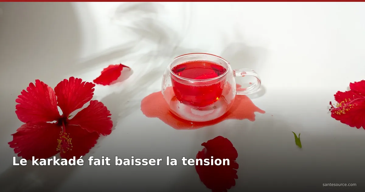 Tasse de tisane de karkadé rouge et fleurs d'hibiscus, remède naturel pour faire baisser la tension artérielle