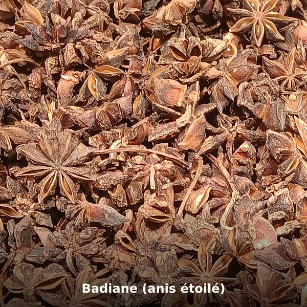 Photographie de Badiane (anis étoilé) (Illicium verum), source Wikimedia Commons, plante médicinale africaine documentée