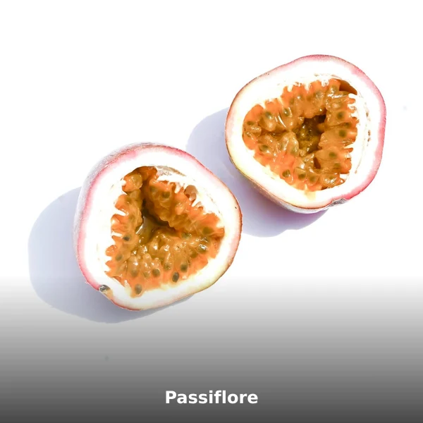 Photographie de Passiflore (Passiflora incarnata), plante médicinale africaine de la phytothérapie traditionnelle
