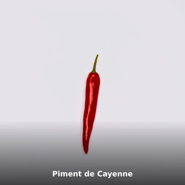 Photographie de Piment de Cayenne (Capsicum annuum), plante médicinale africaine de la phytothérapie traditionnelle