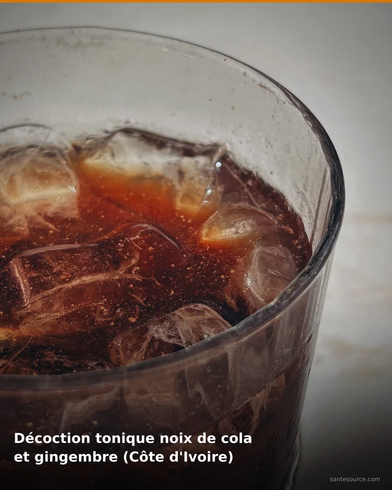 Préparation traditionnelle de décoction tonique noix de cola et gingembre (côte d'ivoire), remède naturel africain pour soutenir énergie et vitalité, ingrédients végétaux