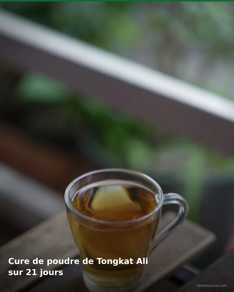 Préparation traditionnelle de cure de poudre de tongkat ali sur 21 jours, remède naturel africain pour soutenir vitalité masculine, ingrédients végétaux