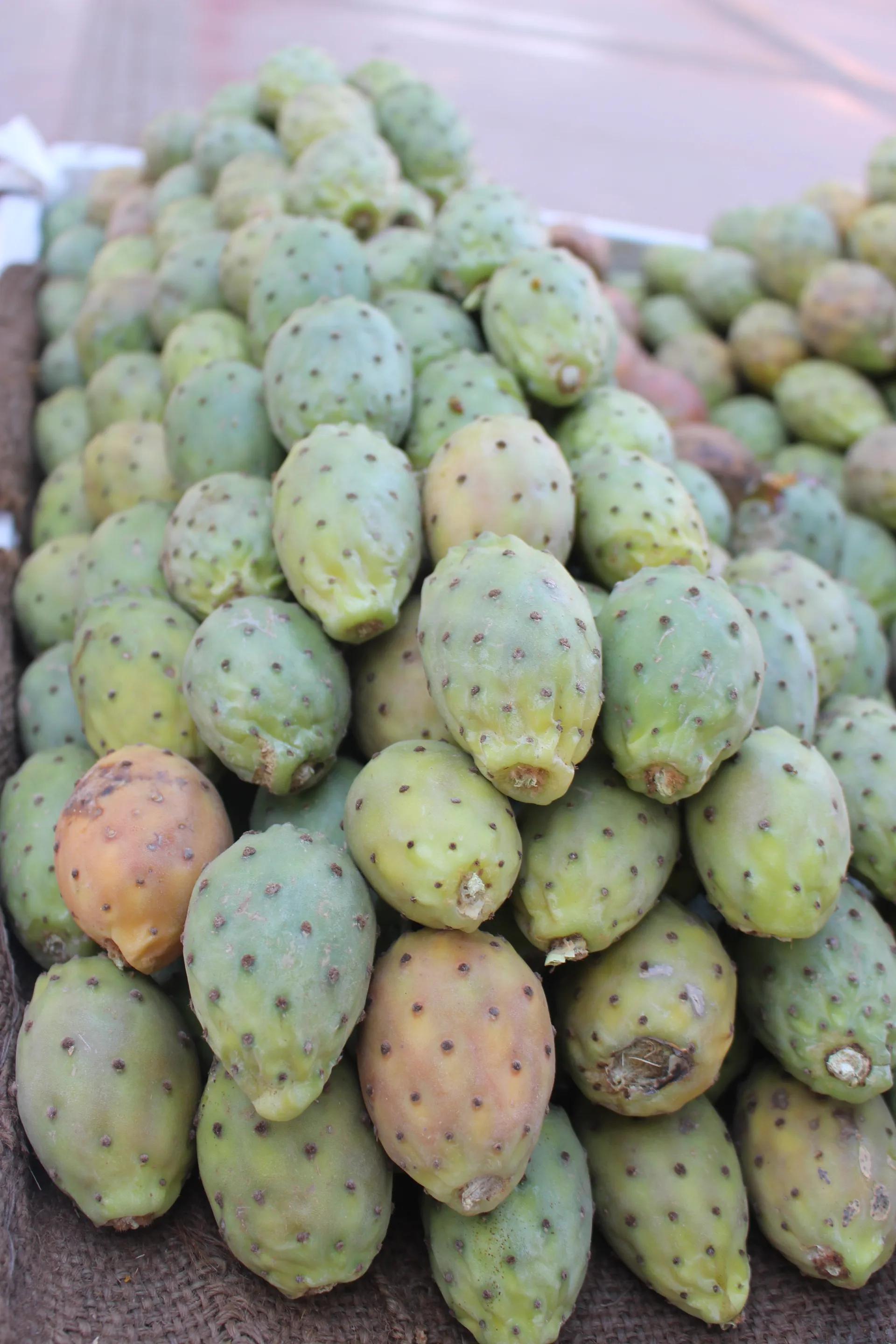 Figues de Barbarie (handia, الكرموس الهندي) fraîchement cueillies à Marrakech — fruit ancestral marocain à index glycémique bas, riche en fibres pectiques