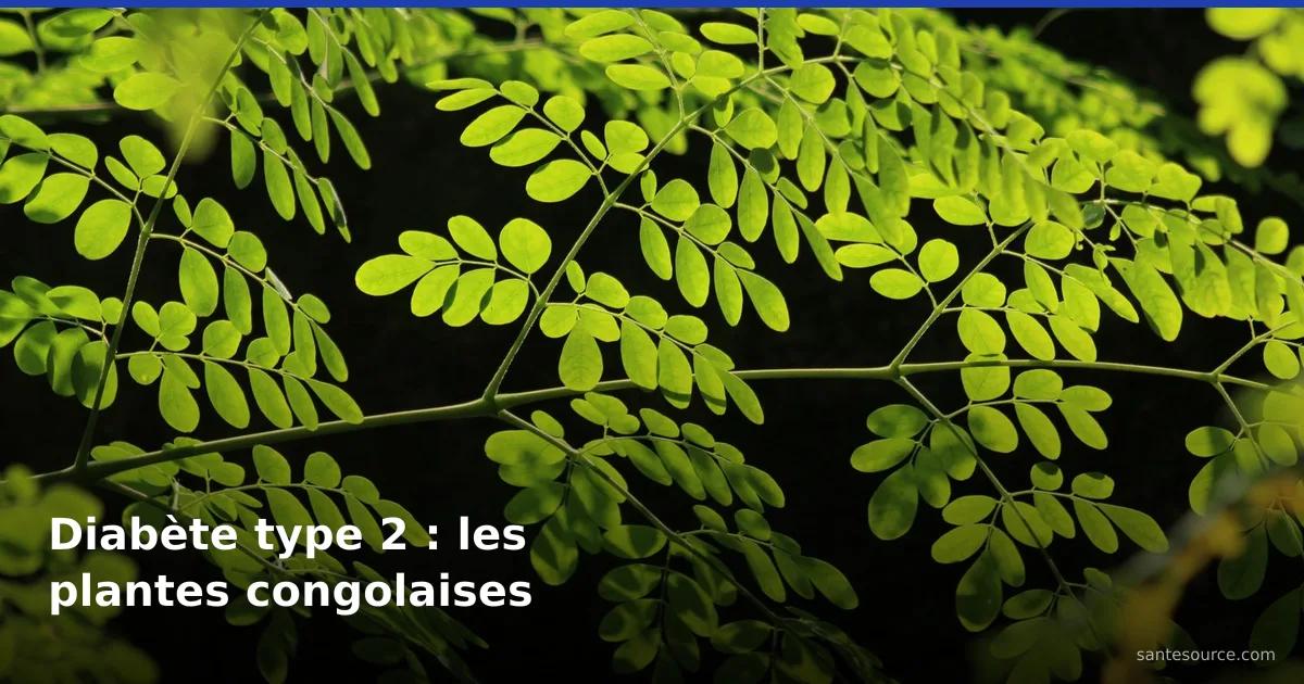 Feuillage vert vif de moringa (nébéday) rétroéclairé, l'une des plantes anti-diabète type 2 documentées en RDC