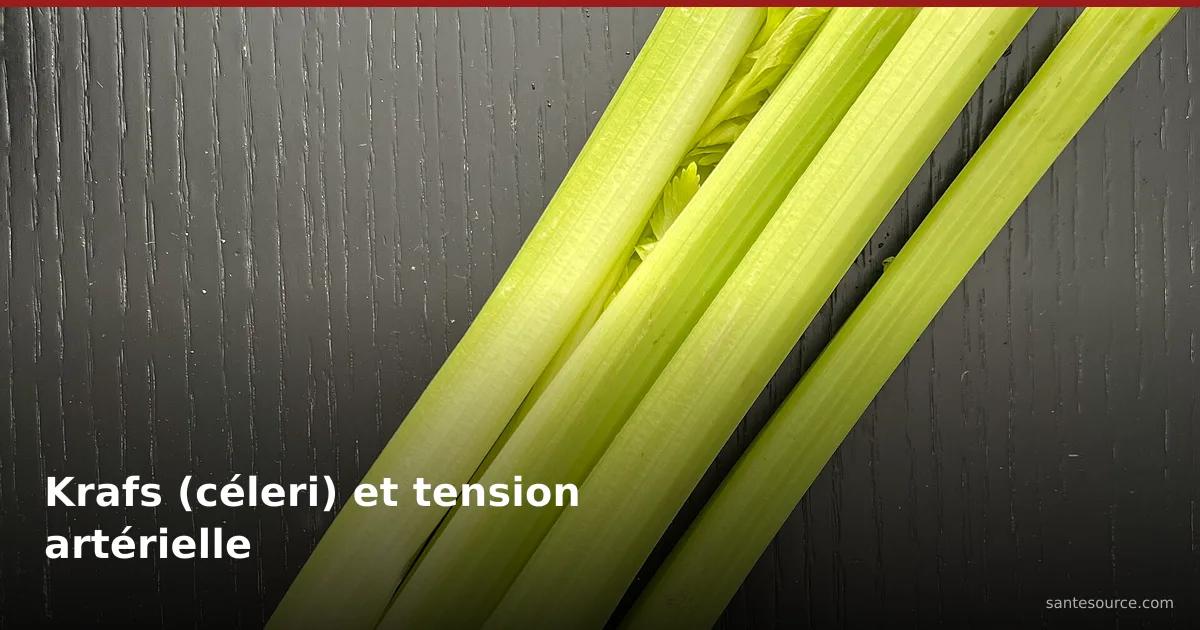 Branches de krafs (céleri) frais sur fond de bois sombre — plante utilisée au Maroc comme appoint contre l'hypertension