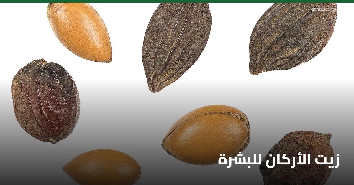 ثمار وأوراق شجرة الأركان (Argania spinosa) التي يُستخرج منها زيت الأركان المغربي للعناية بالبشرة