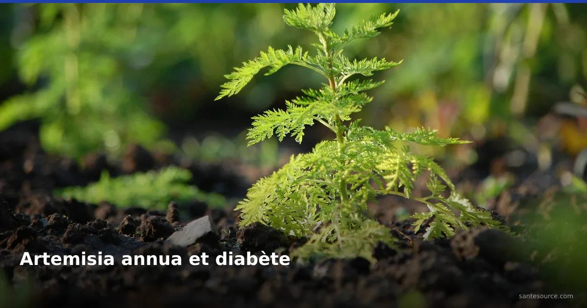 Jeune plant d'Artemisia annua émergeant d'un sol sombre, plante médicinale étudiée pour le diabète de type 2 au Kivu