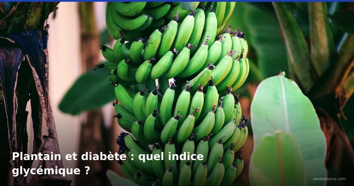 Régime de bananes plantain vertes sur le bananier, aliment clé pour la glycémie et le diabète