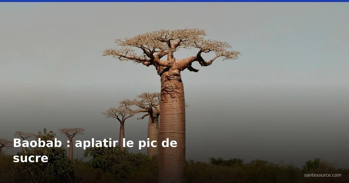 Baobab majestueux dans la savane, source du pain de singe qui abaisse la glycémie postprandiale