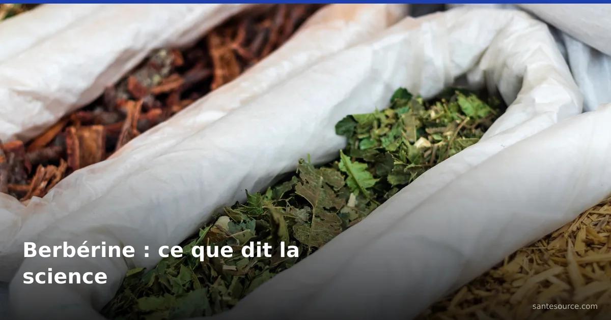 Sachets de feuilles et écorces médicinales séchées au marché, plantes africaines et berbérine contre le diabète