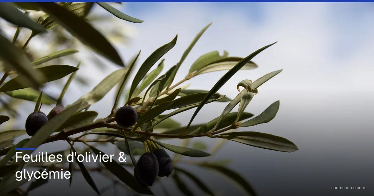 Branche d'olivier aux feuilles vertes et olives noires, remède naturel pour réguler la glycémie et le diabète