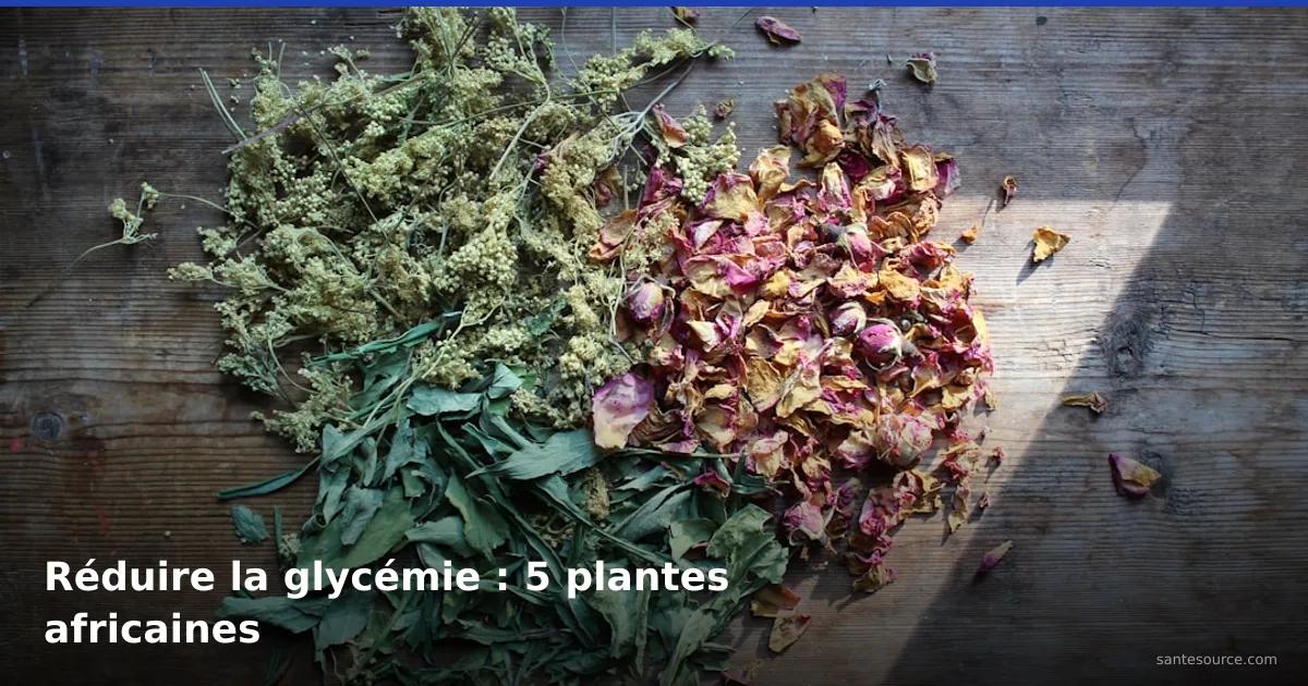 Herbes médicinales séchées sur bois pour contrôler la glycémie naturellement avec des plantes africaines