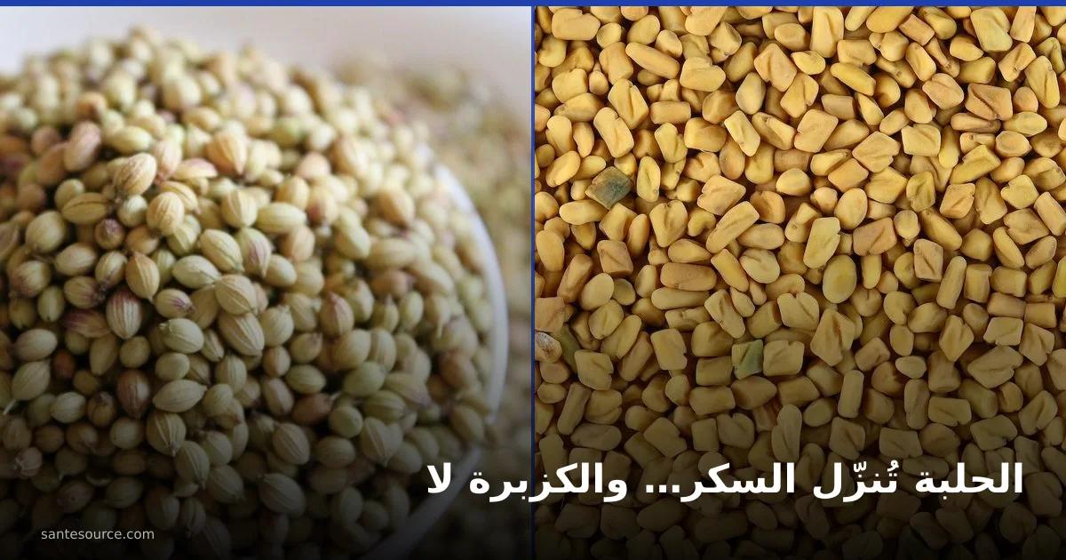 حبّ الحلبة الذهبي إلى جانب حبّ الكزبرة الأخضر، مكوّنا منقوع الحلبة والكزبرة لمرضى السكري في المغرب