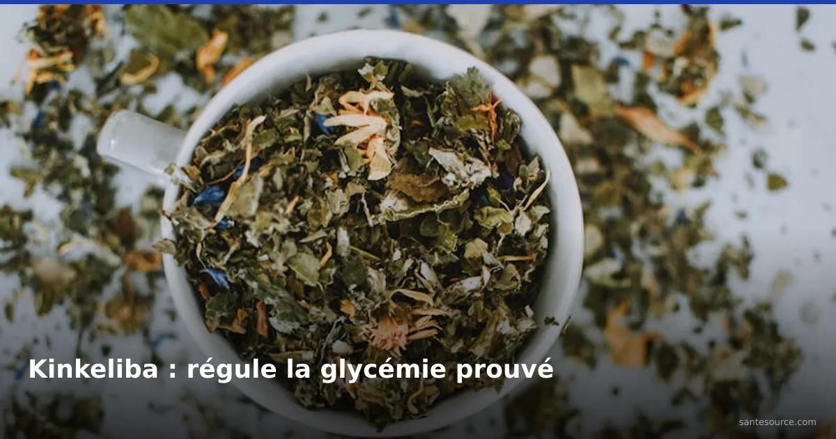 Infusion de plantes médicinales séchées pour réguler la glycémie avec le kinkeliba africain