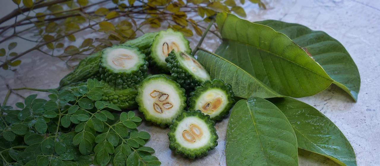 Plantes médicinales pour le diabète : kinkeliba, moringa et goyavier sur pierre naturelle