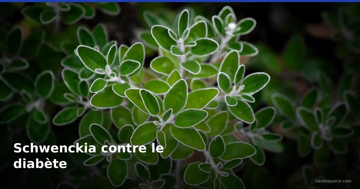 Feuillage vert d'une plante médicinale comme Schwenckia americana, piste naturelle contre le diabète de type 2 au Bénin
