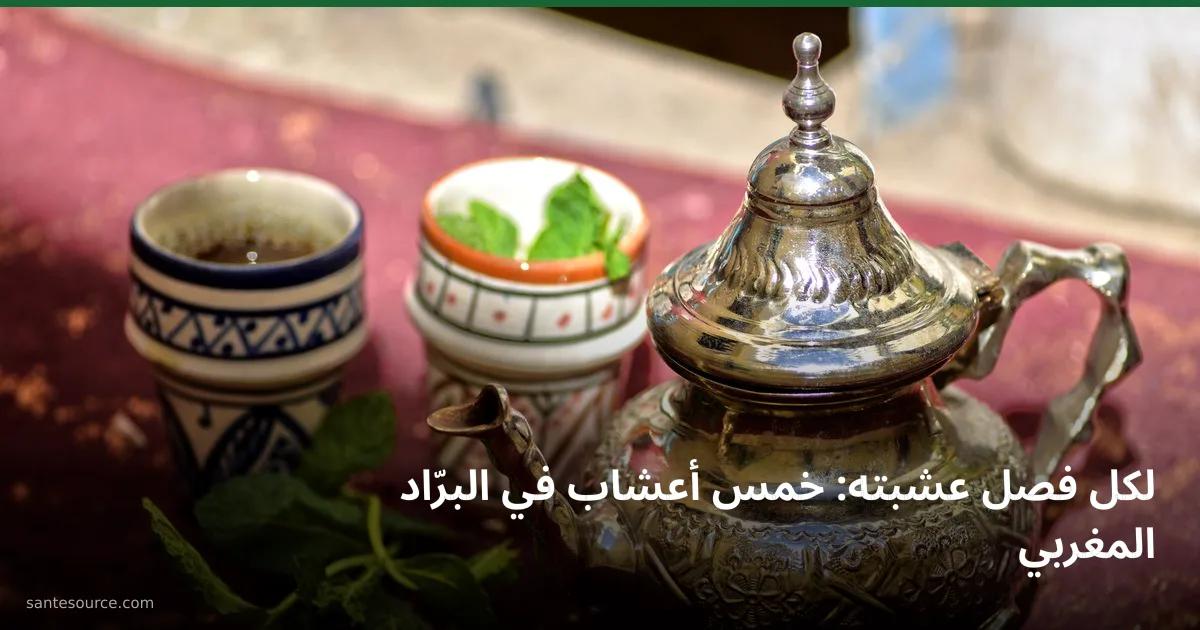 برّاد أتاي مغربي فضّي مع كأسين مزخرفين وغصن نعناع طريّ، أعشاب الشاي المغربي وأثرها في الهضم