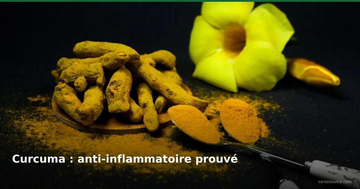 Racines et poudre de curcuma dorées avec fleur jaune, puissant anti-inflammatoire naturel