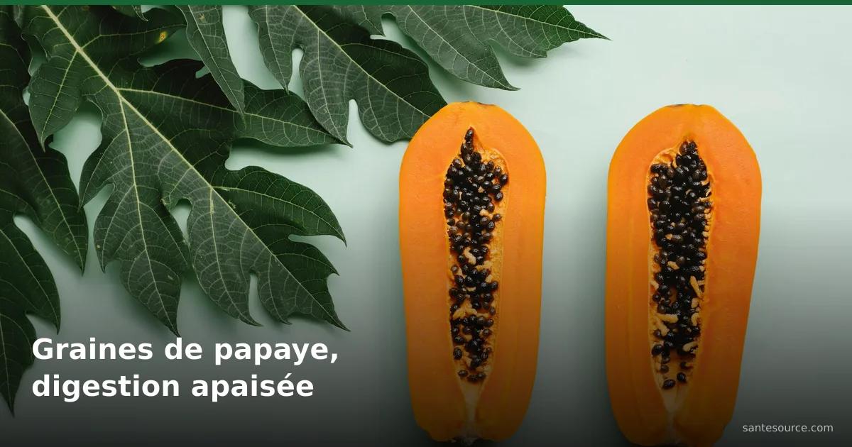 Deux moitiés de papaye mûre et leurs graines noires, remède naturel de digestion contre les ballonnements