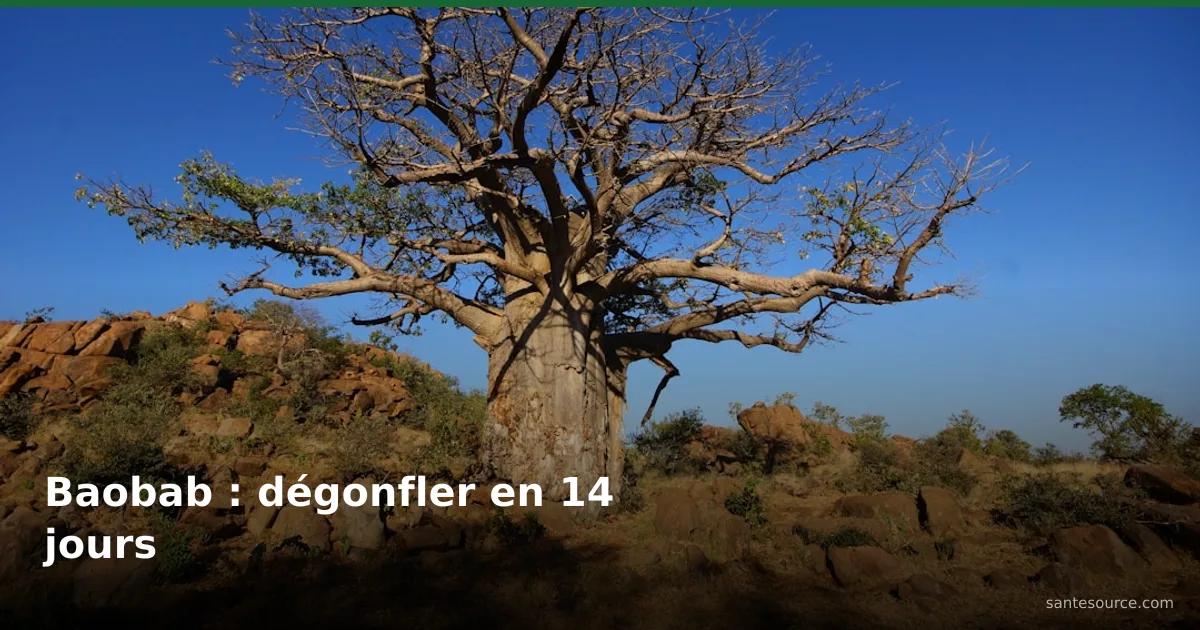 Baobab (Adansonia digitata) majestueux dans un paysage africain, remède naturel contre le ventre gonflé — santesource.com