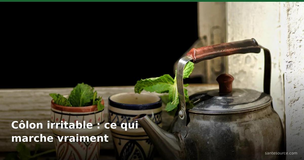 Théière marocaine, verres beldi et menthe fraîche na3na3, rituel des plantes contre le côlon irritable au Maroc