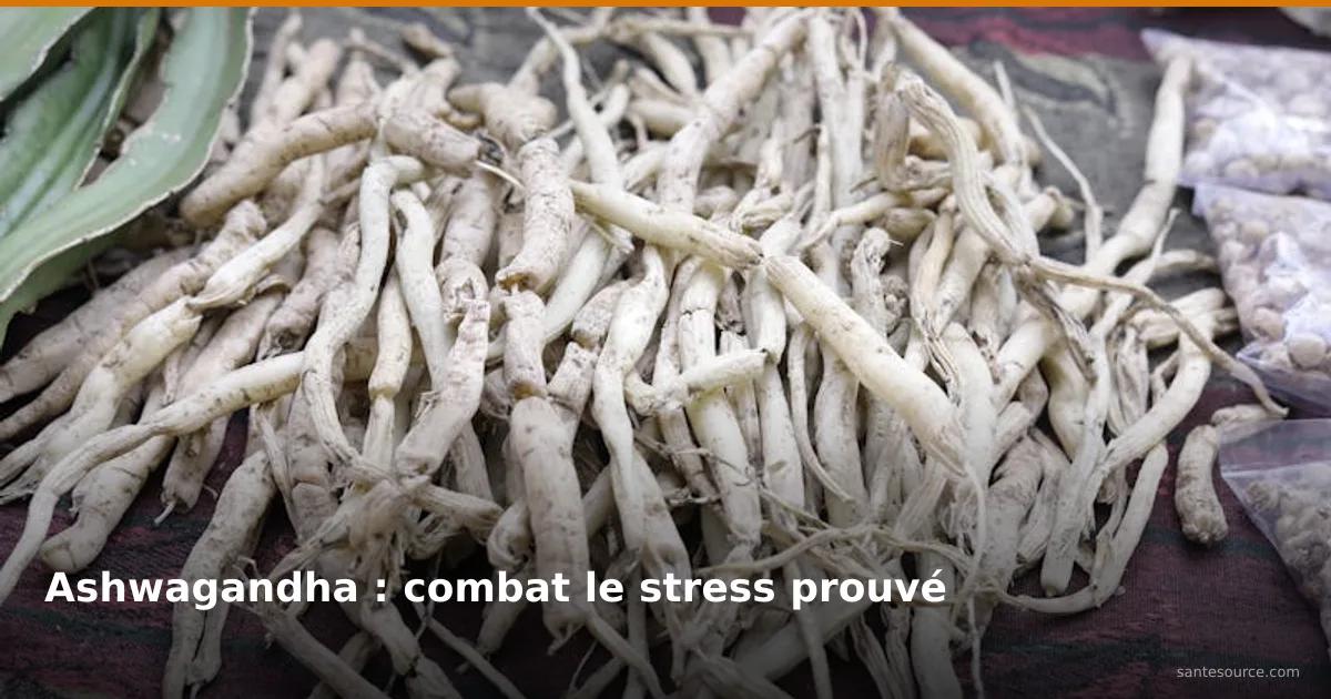 Racines séchées d'ashwagandha au marché, adaptogène naturel pour réduire le stress et l'anxiété
