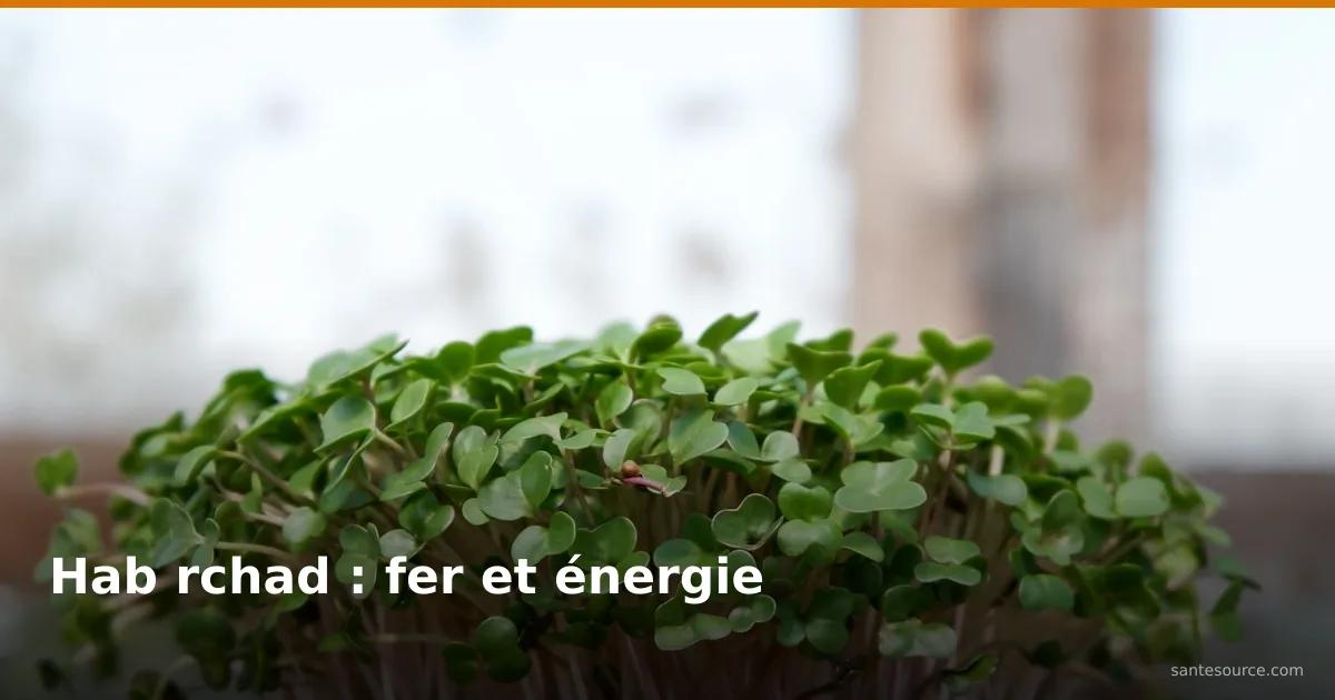 Jeunes pousses de hab rchad (cresson alénois), remède marocain riche en fer contre la fatigue