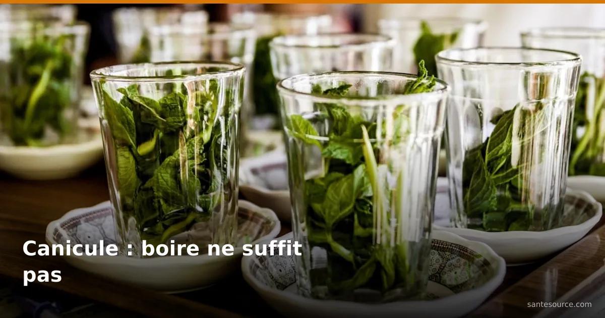 Verres de thé à la menthe fraîche sur plateau marocain, hydratation pendant la canicule au Maroc