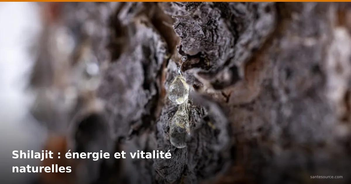 Résine naturelle suintant d'une écorce d'arbre, similaire au shilajit minéral pour l'énergie et la vitalité