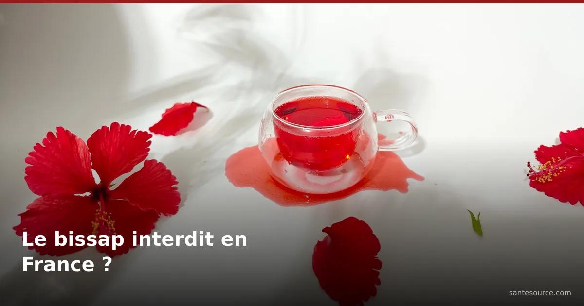 Infusion rouge de bissap (hibiscus) et fleurs fraîches, au cœur de la rumeur d'interdiction en France