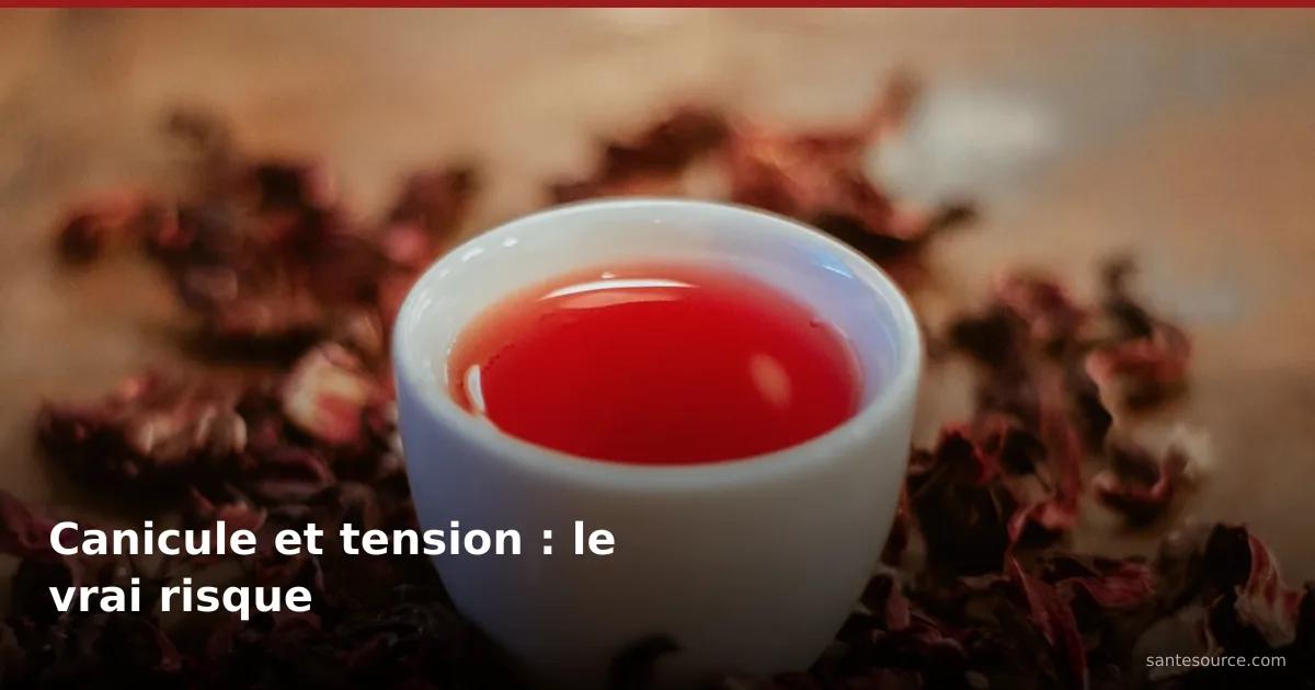 Tasse de karkadé rouge entourée de fleurs d'hibiscus séchées, boisson à surveiller en cas d'hypertension pendant la canicule