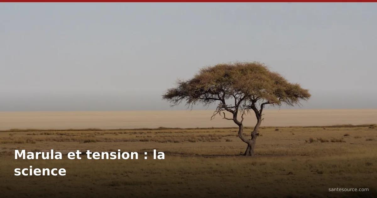 Marula et tension : la science — illustration pour l'article sclerocarya birrea marula hypertension, santesource.com